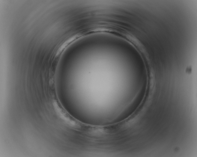 X0000113250945200909171622