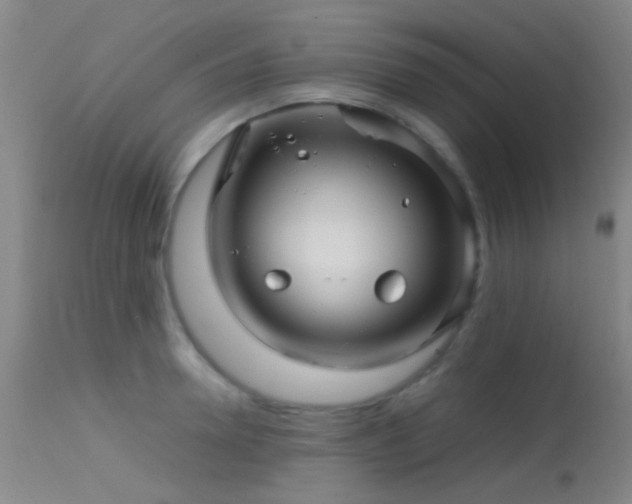 X0000113250946200909171622