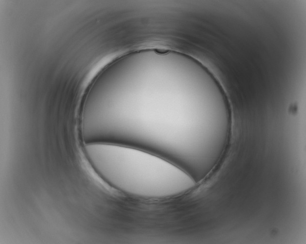 X0000113250949200909171622