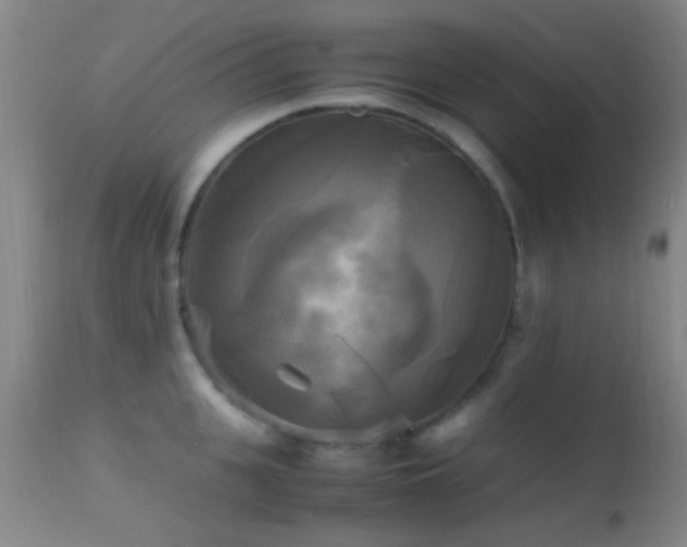 X0000113250951200909171622