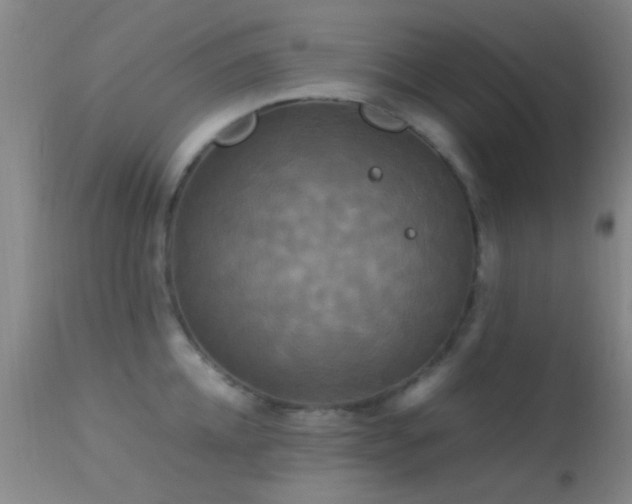 X0000113250952200909171622