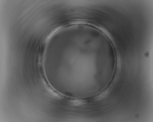 X0000113250953200909171622