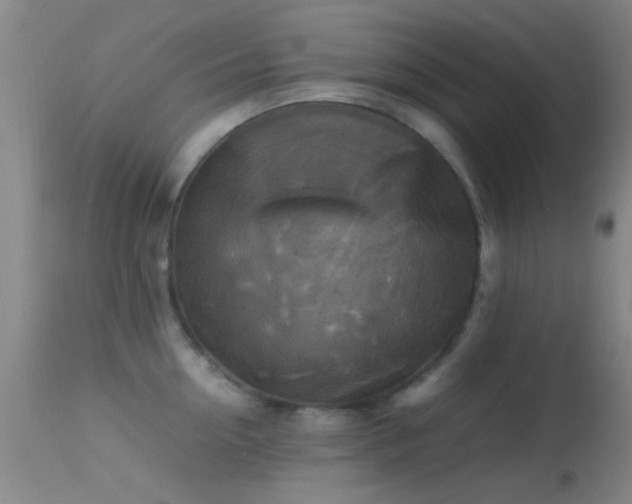 X0000113250954200909171622