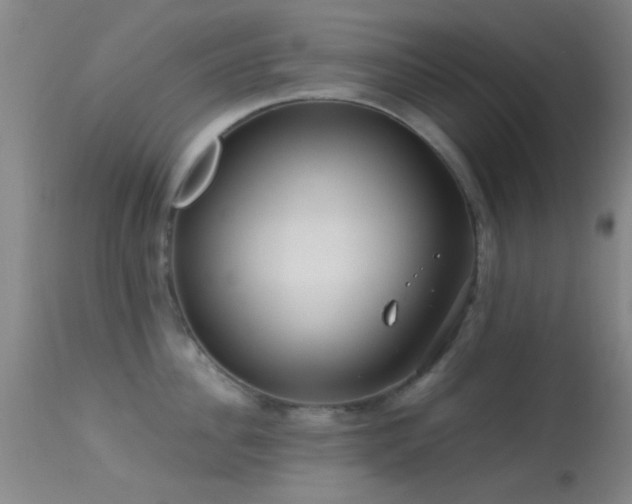 X0000113250956200909171623