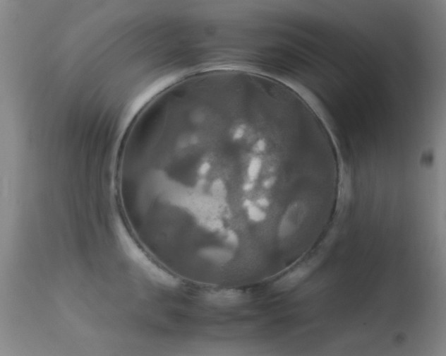 X0000113250957200909171623