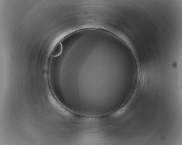 X0000113250958200909171623