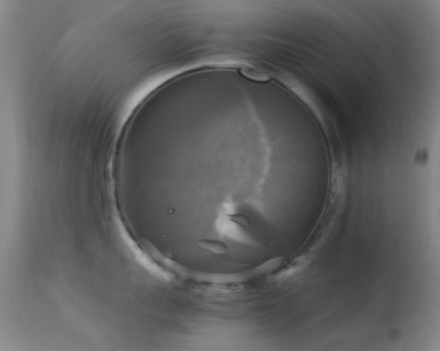 X0000113250959200909171623