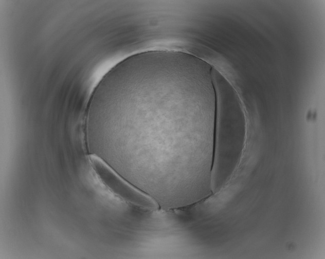 X0000113250960200909171623