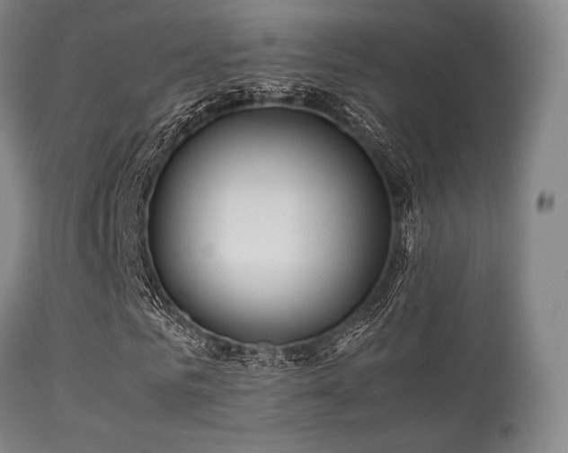 X0000113250961200909171622