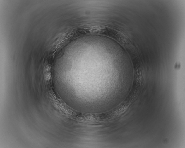 X0000113250962200909171622