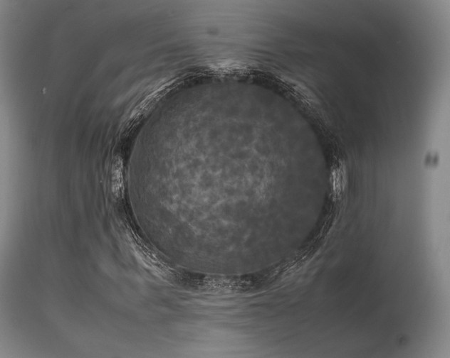 X0000113250963200909171622