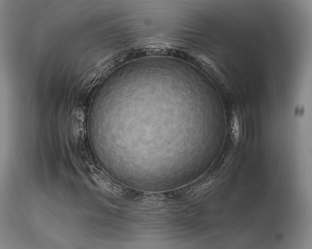 X0000113250964200909171622