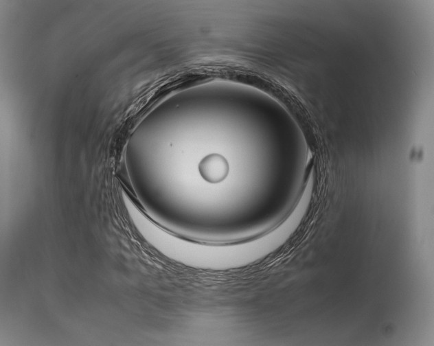 X0000113250965200909171622