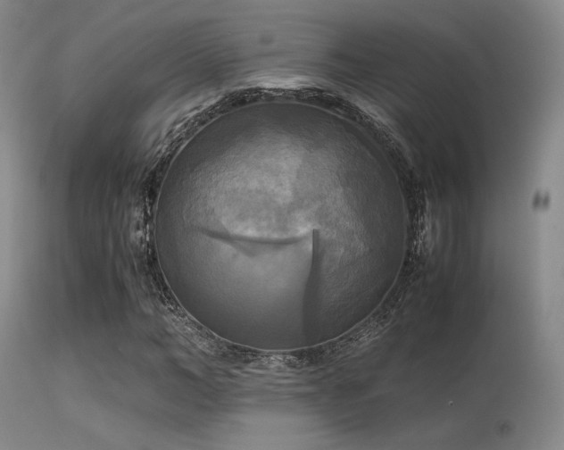 X0000113250966200909171622