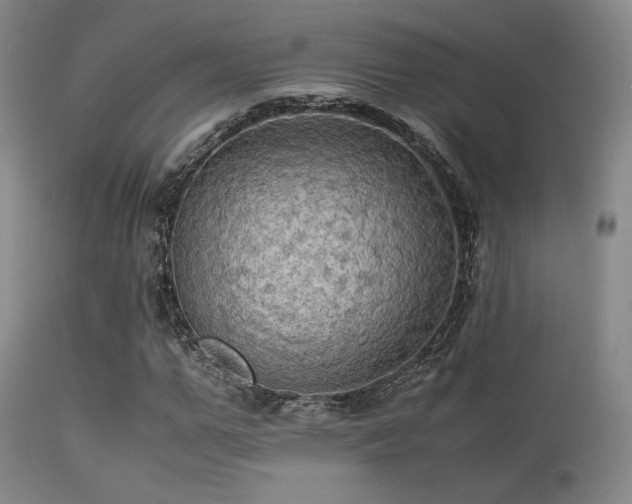 X0000113250967200909171622