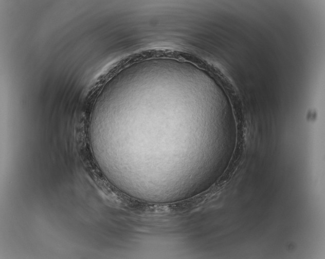 X0000113250968200909171622