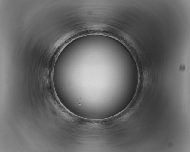 X0000113250970200909171622