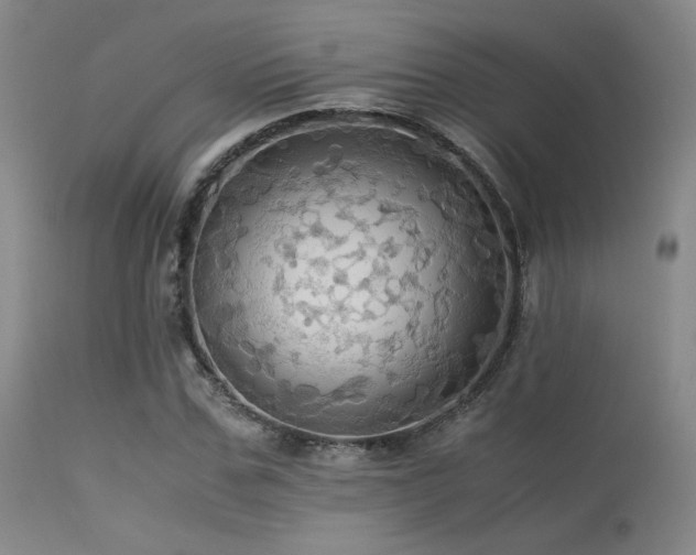 X0000113250971200909171622