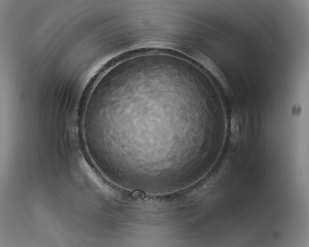 X0000113250972200909171622