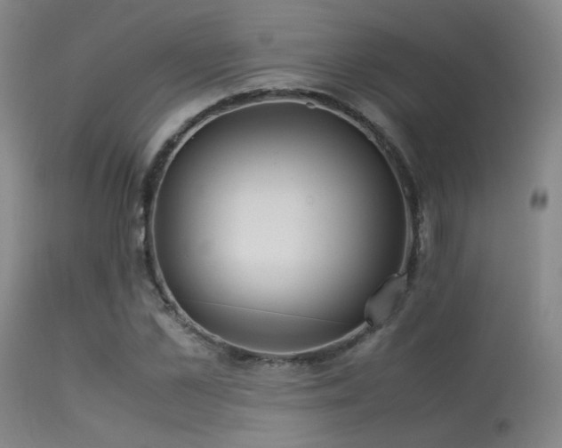 X0000113250973200909171622