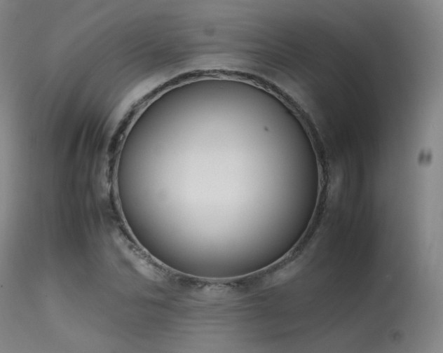 X0000113250974200909171622