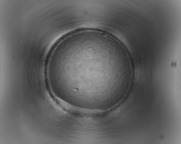 X0000113250976200909171622