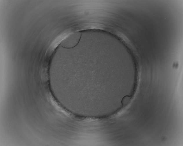 X0000113250977200909171622