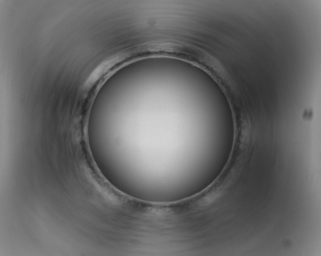 X0000113250978200909171622