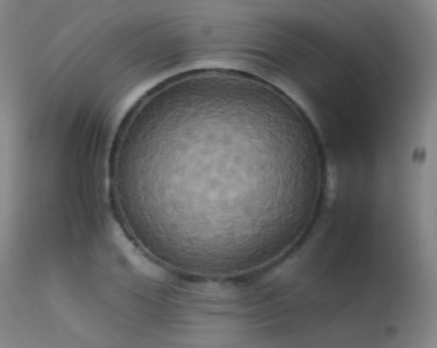 X0000113250980200909171622