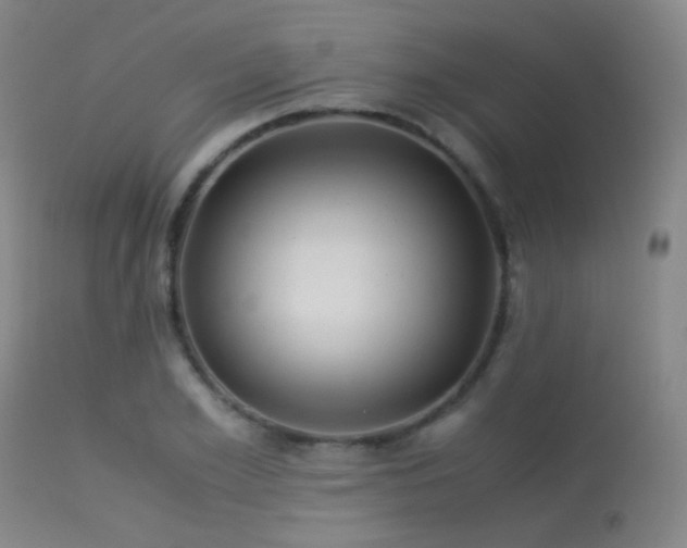 X0000113250981200909171622