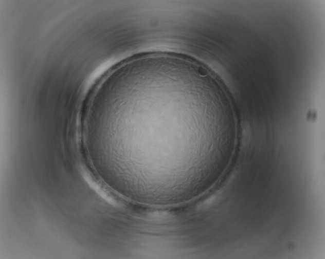 X0000113250982200909171622