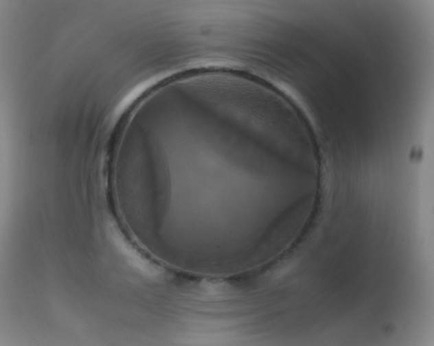 X0000113250983200909171622