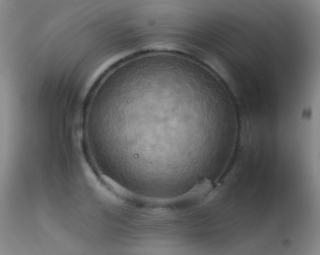 X0000113250984200909171622