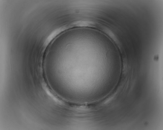 X0000113250986200909171622