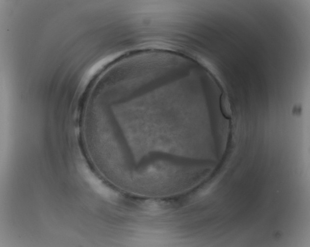 X0000113250987200909171622