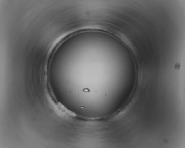 X0000113250988200909171622