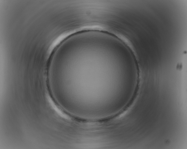 X0000113250989200909171622