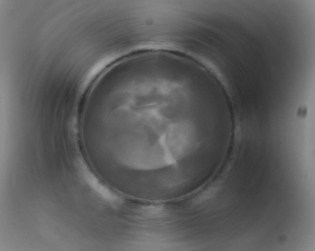 X0000113250990200909171622