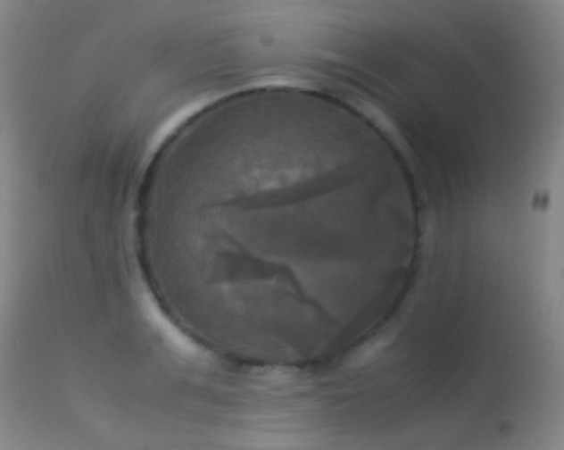 X0000113250991200909171621