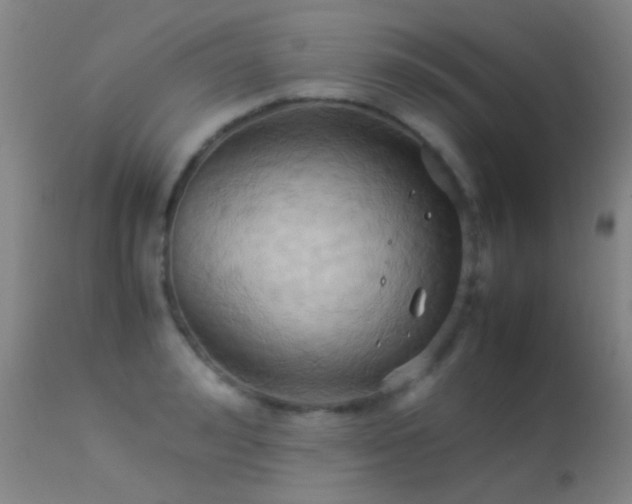 X0000113250992200909171621