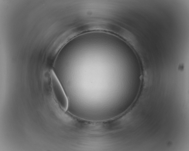 X0000113250993200909171621