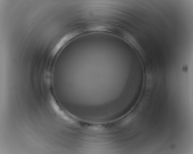 X0000113250994200909171621