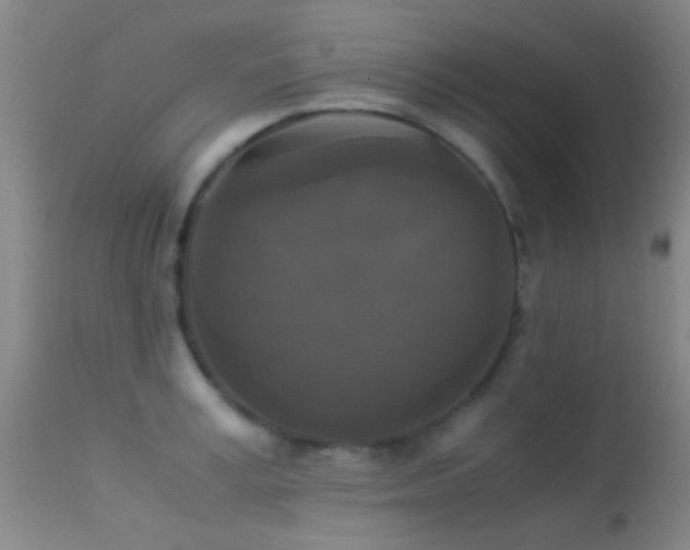 X0000113250995200909171621