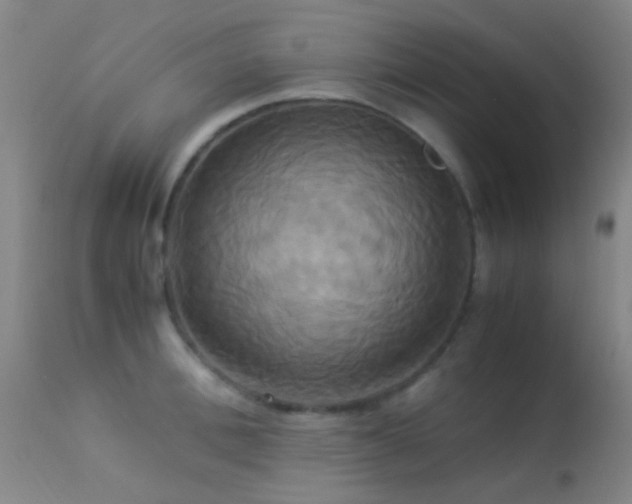 X0000113250996200909171621