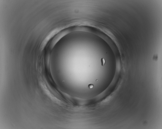 X0000113250997200909171621