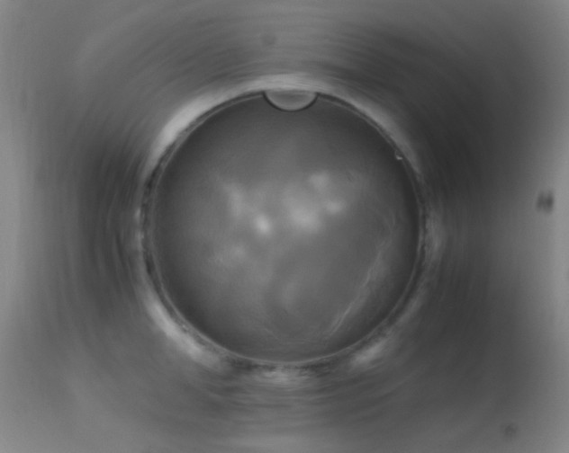 X0000113250998200909171621