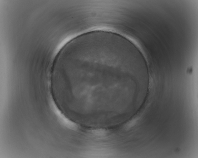 X0000113250999200909171621