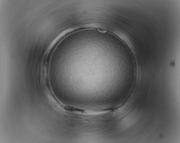 X0000113251000200909171621