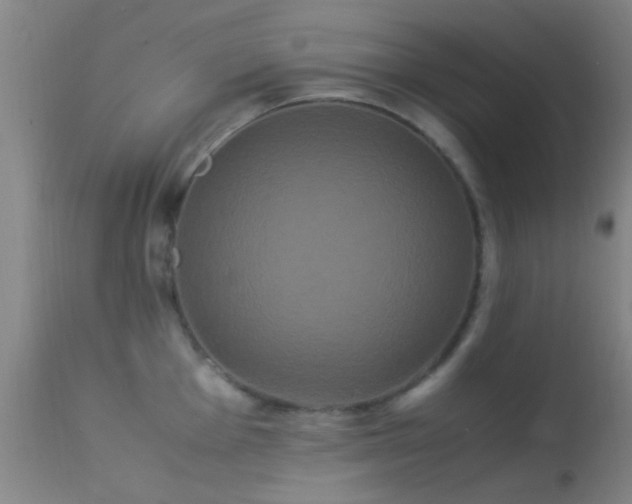 X0000113251001200909171621