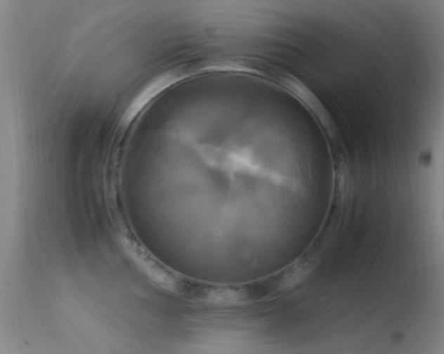 X0000113251002200909171621